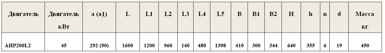 СМ 100-65-250/2