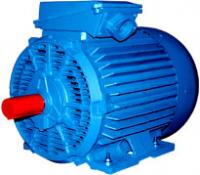 Электродвигатель АМН 200 L8 30 кВт 750 об/мин